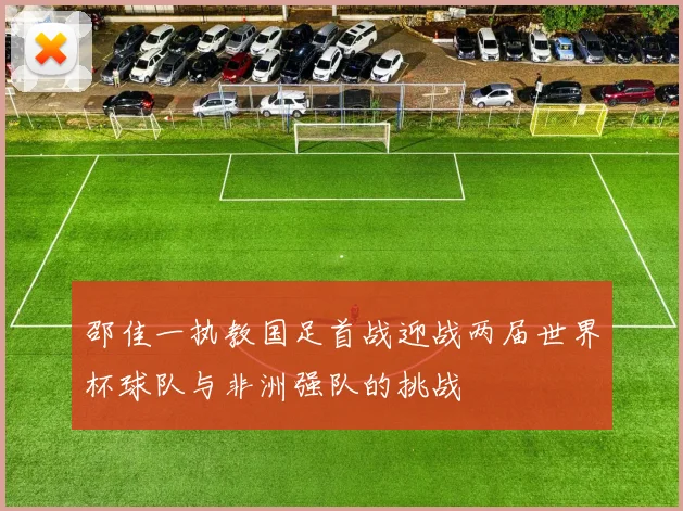邵佳一执教国足首战迎战两届世界杯球队与非洲强队的挑战